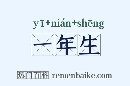 一年生是什么意思的图片